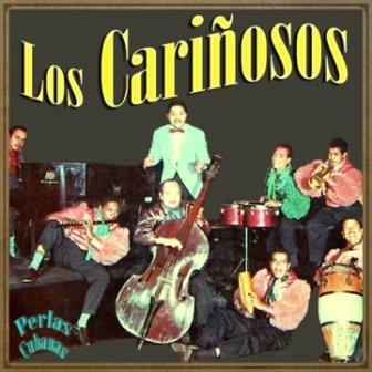 Conjunto Los Cariñosos, Los Cariñosos