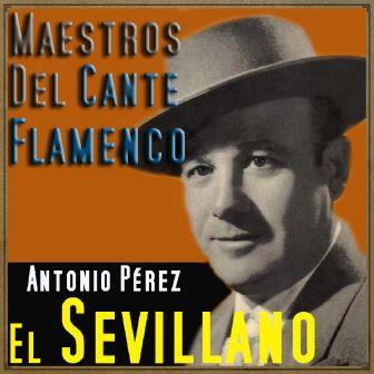 Maestros del Cante Flamenco – El Sevillano